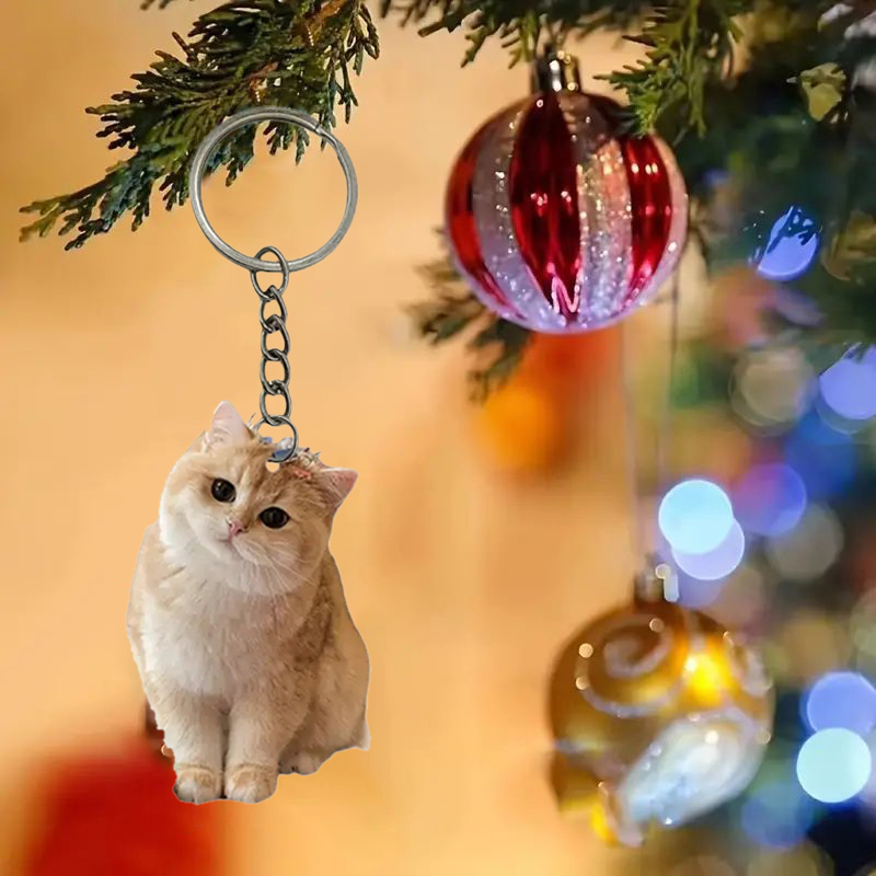 Black And White Cat Keychain 2 - đánh giá và giá Resin Art Ring Design